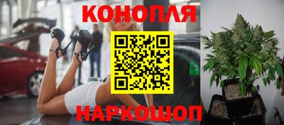 каннабис Чебаркуль