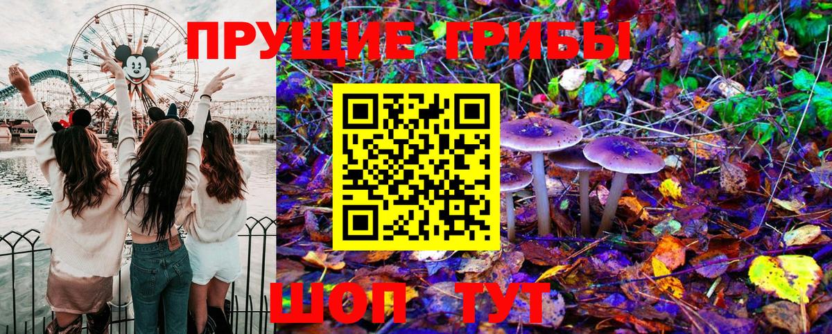Псилоцибиновые грибы MAGIC MUSHROOMS Клинцы